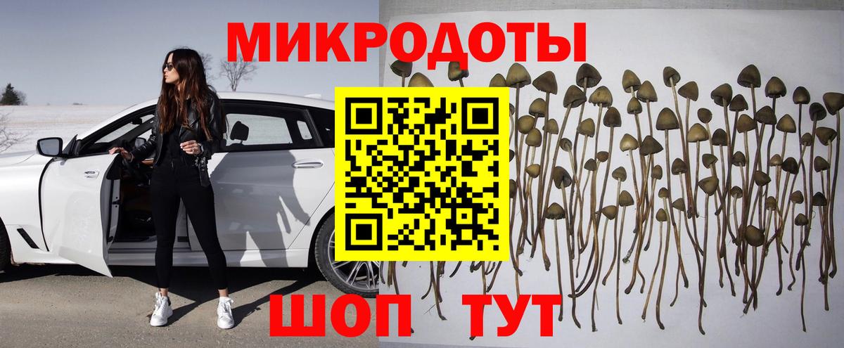 Псилоцибиновые грибы Magic Shrooms Реж
