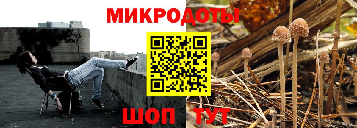 Реж  Псилоцибиновые грибы прущие грибы  Вход с VPN 